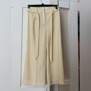 Express wide leg, stripped professional pants